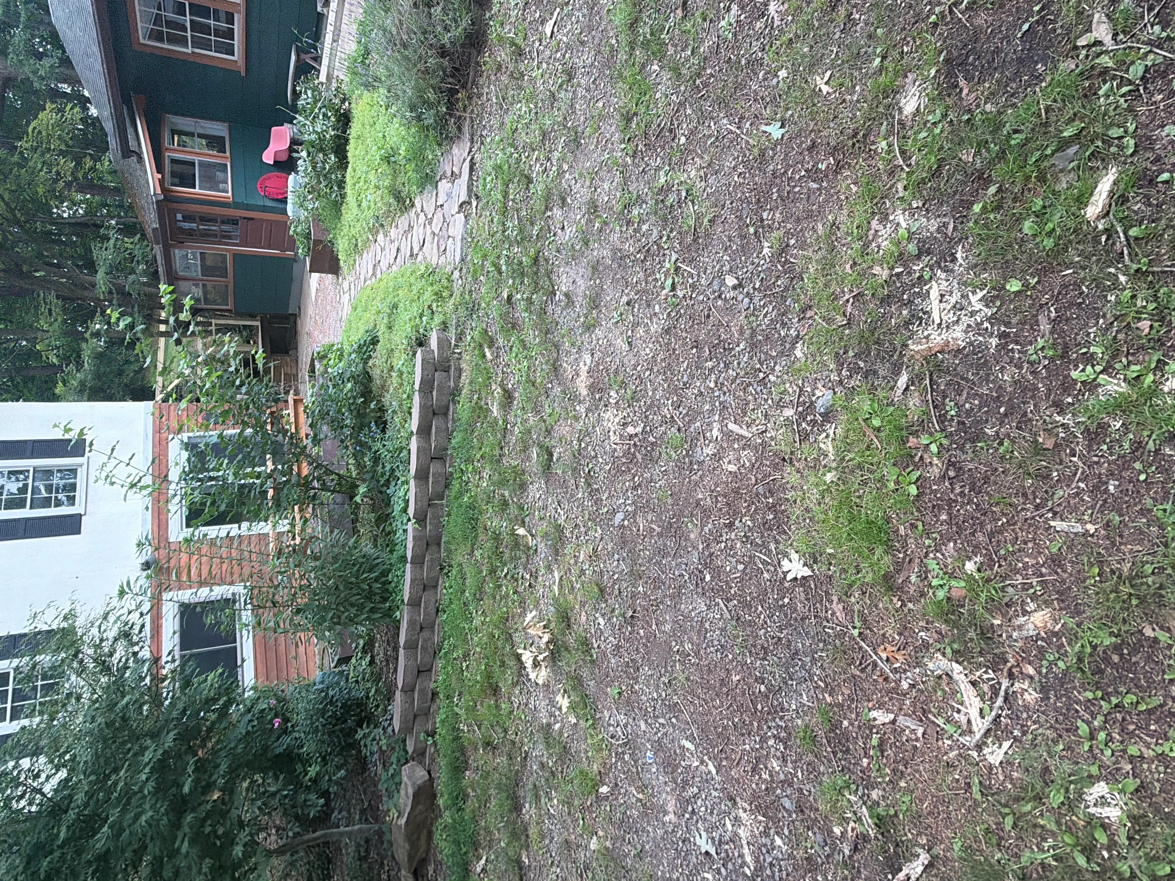 Cleared residential yard with removed debris and cleaned ground area